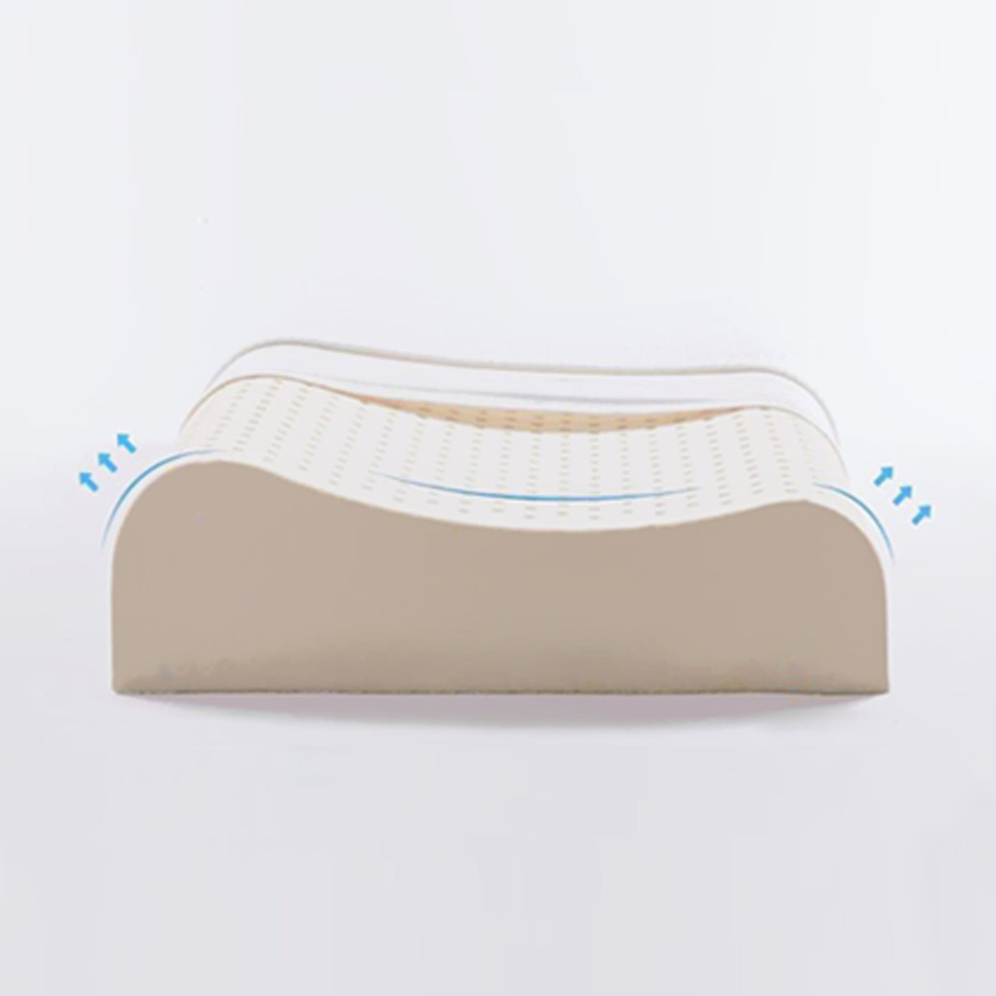 Pure Latex New Contour Pillow